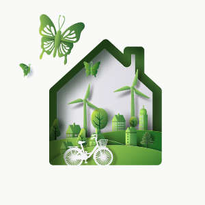 Eco Friendly Materials