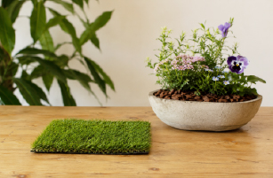 Outdoor & Landscaping